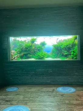 すみだ水族館に投稿された画像（2020/12/7）