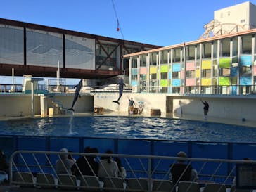 伊豆・三津シーパラダイスに投稿された画像（2020/12/7）