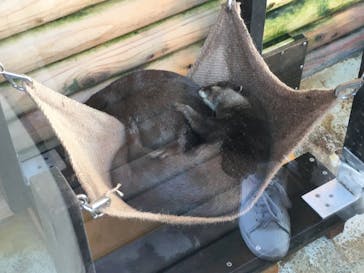 伊豆・三津シーパラダイスに投稿された画像（2020/12/7）