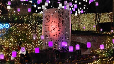 ひらかたパークに投稿された画像（2020/12/7）