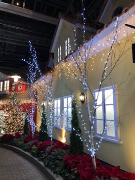 安城産業文化公園デンパークに投稿された画像（2020/12/6）