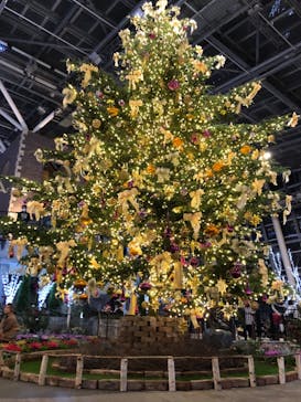 安城産業文化公園デンパークに投稿された画像（2020/12/6）