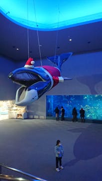 鳥羽水族館に投稿された画像（2020/12/7）