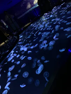 すみだ水族館に投稿された画像（2020/12/7）