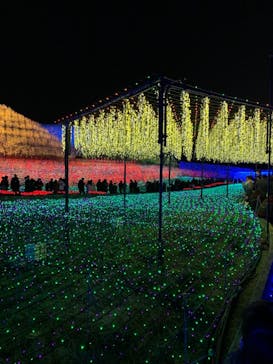 なばなの里に投稿された画像（2020/12/7）