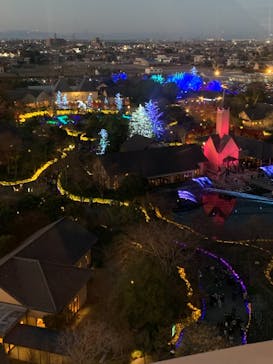 なばなの里に投稿された画像（2020/12/7）