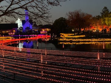 なばなの里に投稿された画像（2020/12/7）