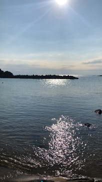 海女小屋体験施設さとうみ庵に投稿された画像（2020/12/7）