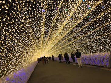 なばなの里に投稿された画像（2020/12/7）