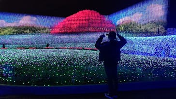 なばなの里に投稿された画像（2020/12/7）