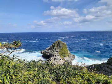 武藤潜水に投稿された画像（2020/12/7）