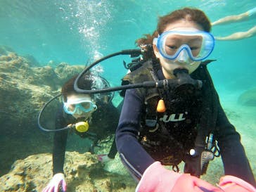 武藤潜水に投稿された画像（2020/12/7）