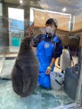 下田海中水族館に投稿された画像（2020/12/8）
