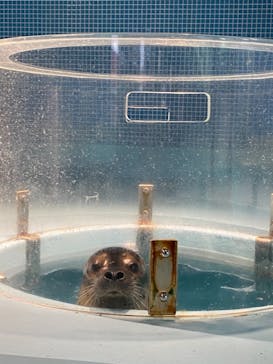 下田海中水族館に投稿された画像（2020/12/8）