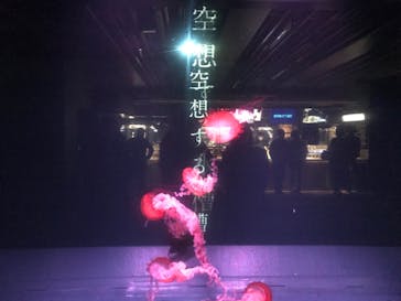 京都水族館に投稿された画像（2020/12/8）