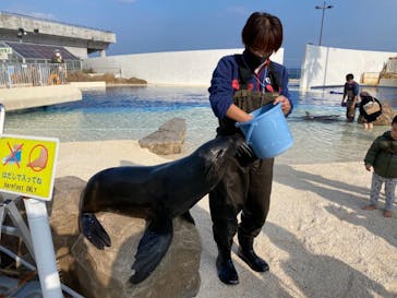 大分マリーンパレス水族館 「うみたまご」に投稿された画像（2020/12/8）