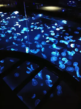 すみだ水族館に投稿された画像（2020/12/8）