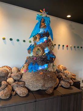 京都水族館に投稿された画像（2020/12/8）