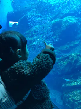 仙台うみの杜水族館に投稿された画像（2020/12/8）