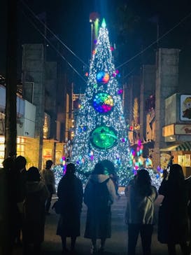 ひらかたパークに投稿された画像（2020/12/8）