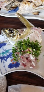 海上釣り 堀太公望に投稿された画像（2020/12/8）