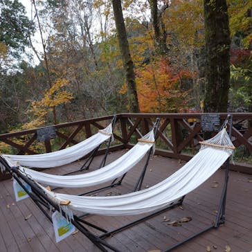 モダン湯治 おんりーゆーに投稿された画像（2020/12/8）