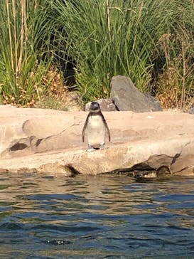 神戸どうぶつ王国に投稿された画像（2020/12/8）