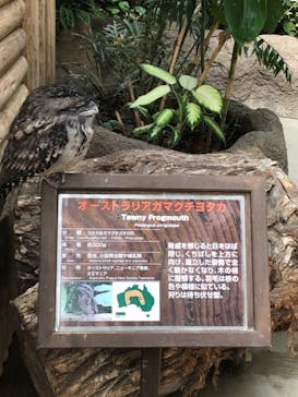 神戸どうぶつ王国に投稿された画像（2020/12/8）