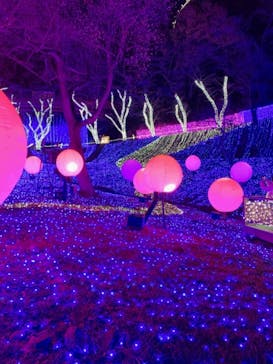 さがみ湖MORI MORIに投稿された画像（2020/12/8）