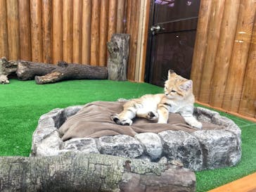 神戸どうぶつ王国に投稿された画像（2020/12/8）