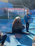 ゼロ距離水族館 伊勢シーパラダイスに投稿された画像（2020/12/8）