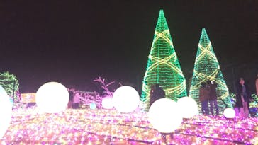 よみうりランド 遊園地に投稿された画像（2020/12/8）
