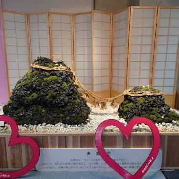 ゼロ距離水族館 伊勢シーパラダイスに投稿された画像（2020/12/8）