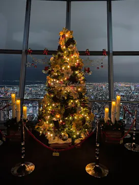 東京スカイツリーに投稿された画像（2020/12/8）