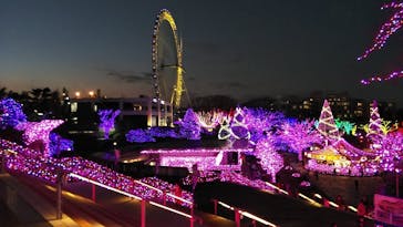 よみうりランド 遊園地に投稿された画像（2020/12/8）