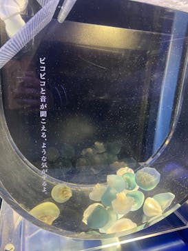 京都水族館に投稿された画像（2020/12/8）