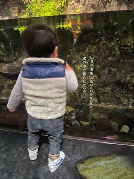 京都水族館に投稿された画像（2020/12/8）