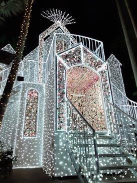 美らヤシパークオキナワ・東南植物楽園に投稿された画像（2020/12/8）