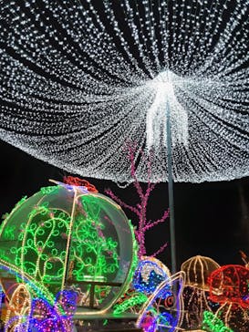 美らヤシパークオキナワ・東南植物楽園に投稿された画像（2020/12/8）