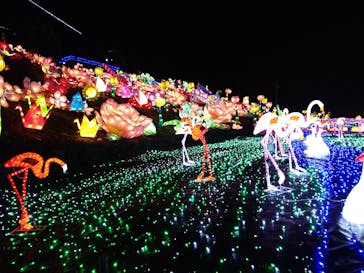 伊豆ぐらんぱる公園に投稿された画像（2020/12/8）