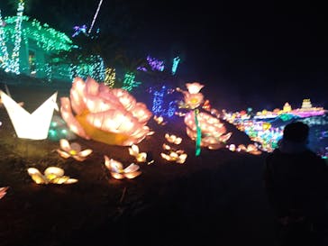 伊豆ぐらんぱる公園に投稿された画像（2020/12/8）