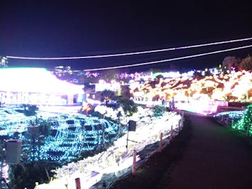 伊豆ぐらんぱる公園に投稿された画像（2020/12/8）