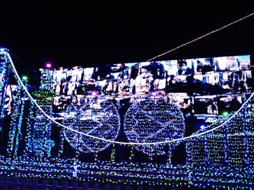 伊豆ぐらんぱる公園に投稿された画像（2020/12/8）