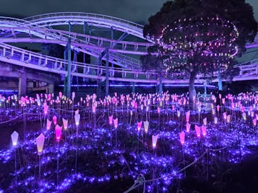 ひらかたパークに投稿された画像（2020/12/8）