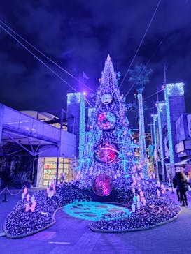 ひらかたパークに投稿された画像（2020/12/8）