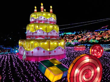 伊豆ぐらんぱる公園に投稿された画像（2020/12/9）