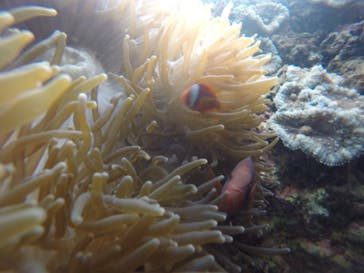 武藤潜水に投稿された画像（2020/12/9）