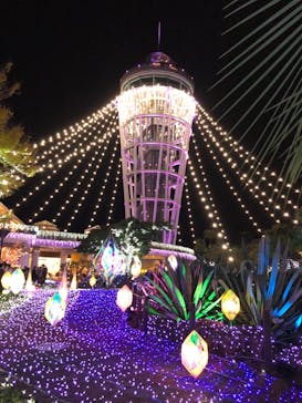 江の島シーキャンドルに投稿された画像（2020/12/9）