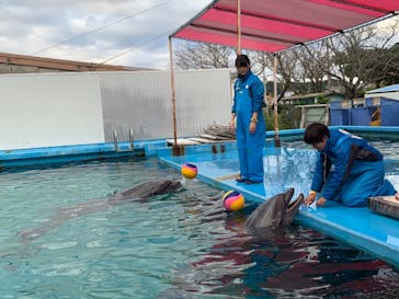 ゼロ距離水族館 伊勢シーパラダイスに投稿された画像（2020/12/9）