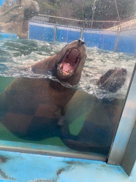 ゼロ距離水族館 伊勢シーパラダイスに投稿された画像（2020/12/9）